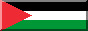 Free Palestine button